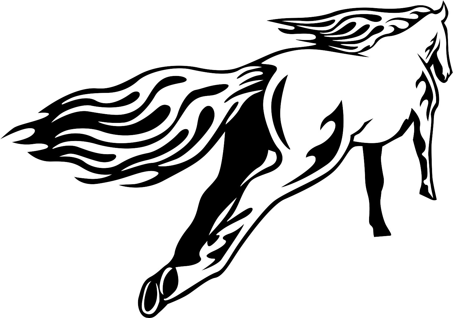 Animal Flames – Bild 2