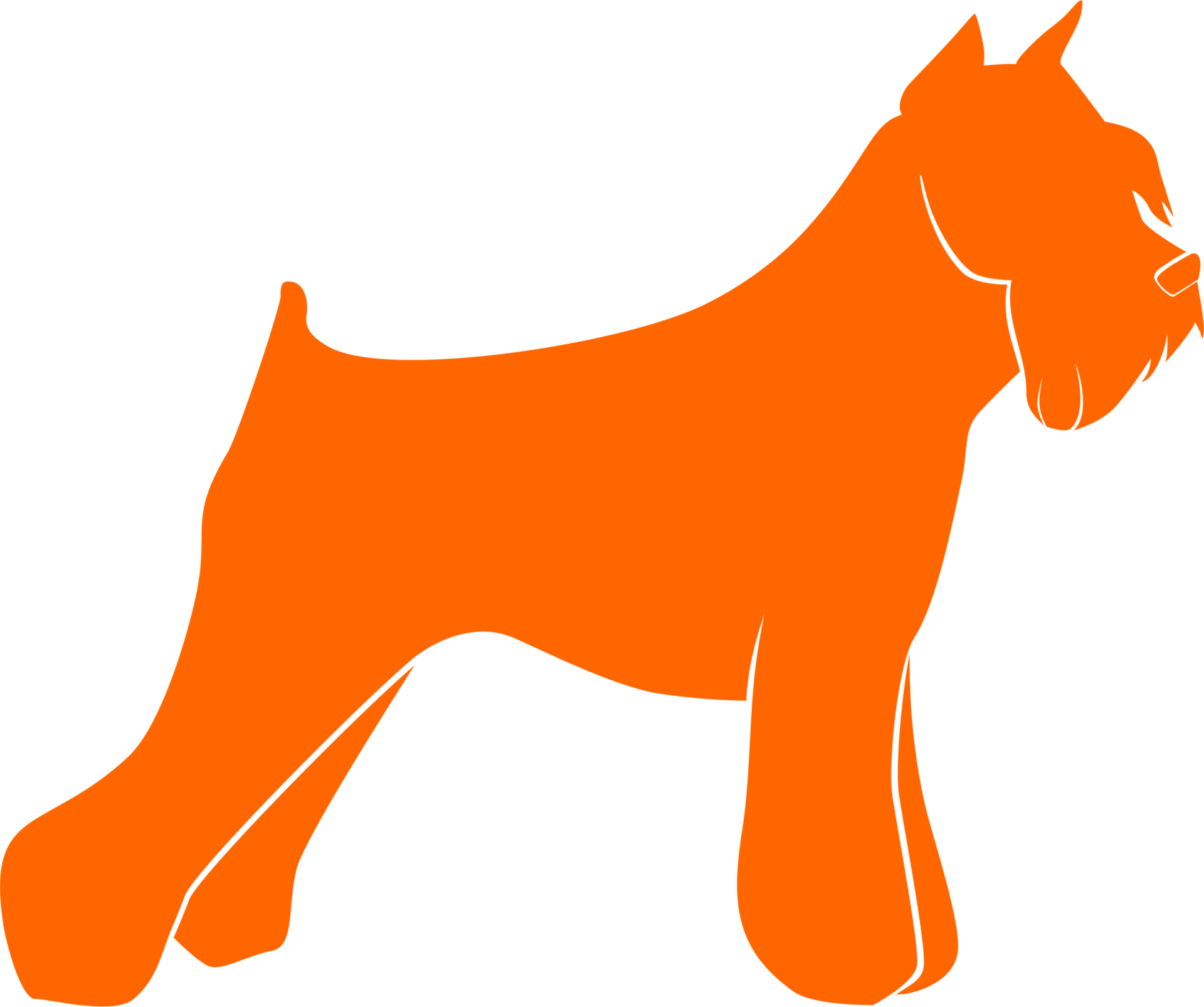 Tiere – Bild 5