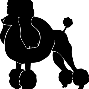 Tiere