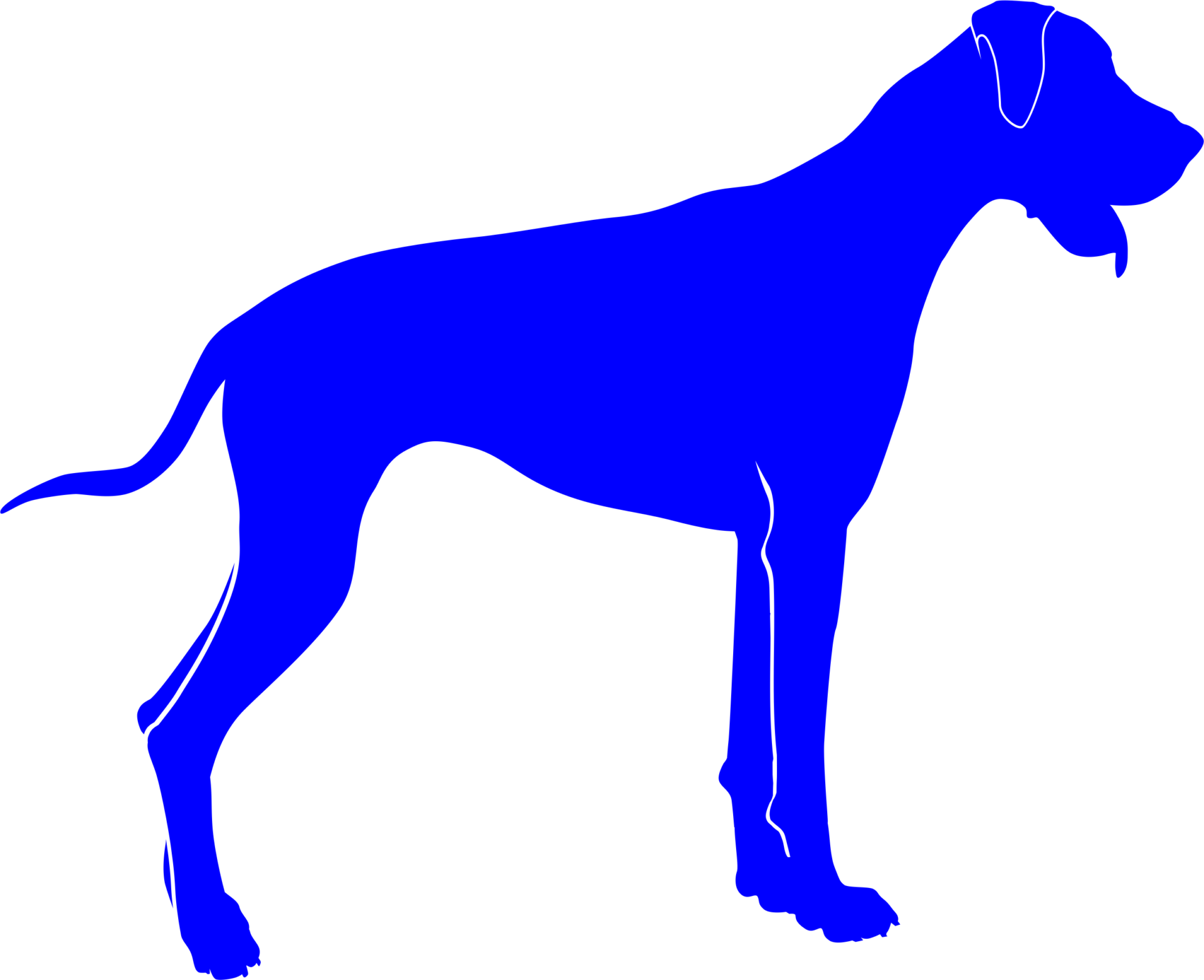 Tiere – Bild 2