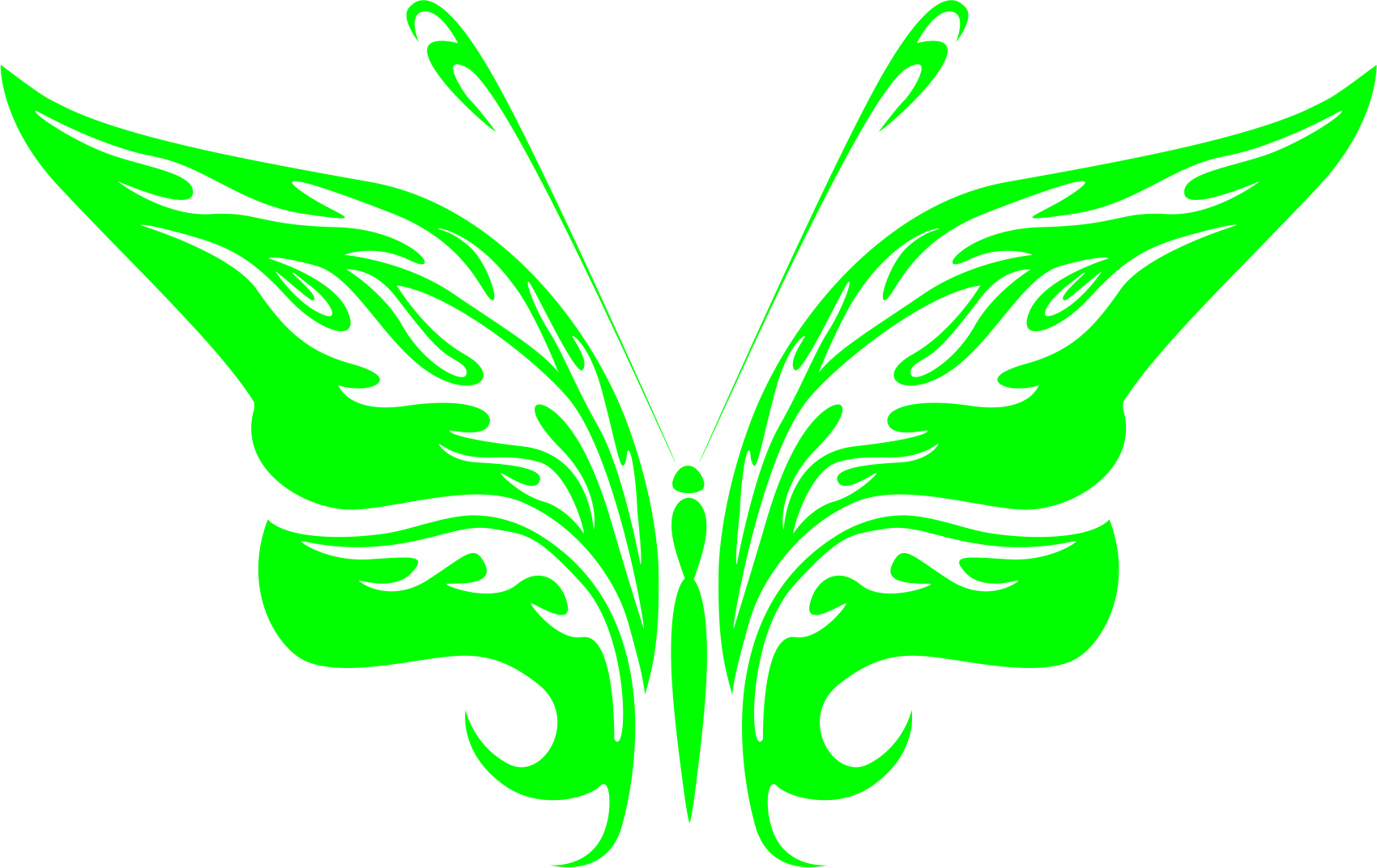 Schmetterlinge – Bild 5