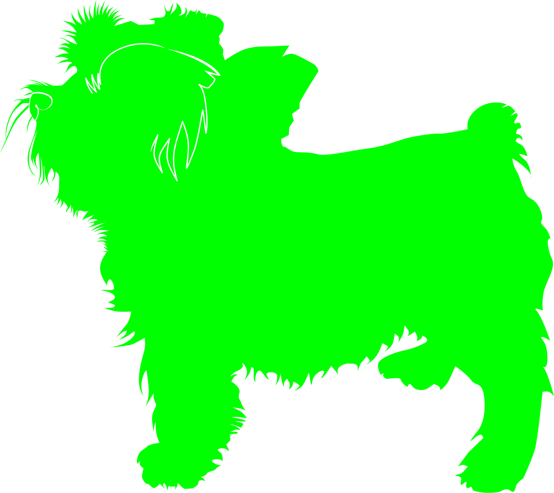 Weiteres Bild zu Tiere